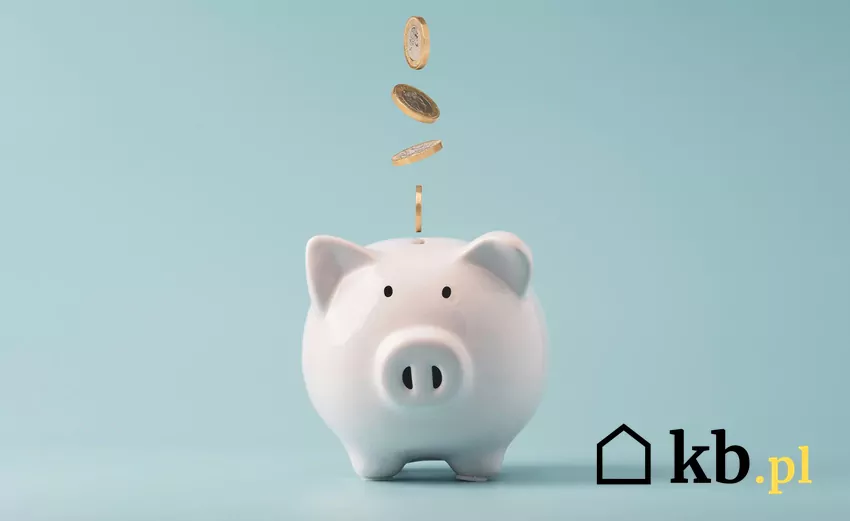 Osoby fizyczne, które nie prowadzą działalności gospodarczej, mogą formalnie wpłacać na swoje konto dowolne kwoty Monety wpadają do skarbonki