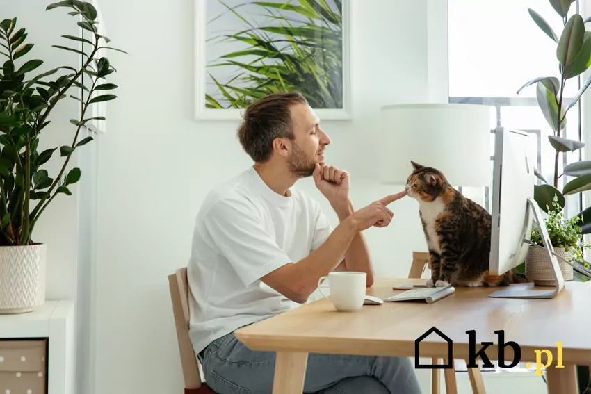 mężczyzna pracujący z domu