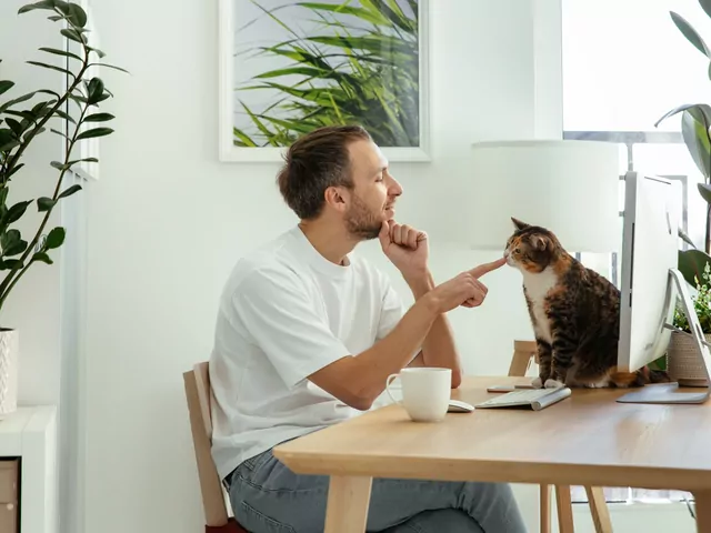 Praca zdalna a rynek nieruchomości