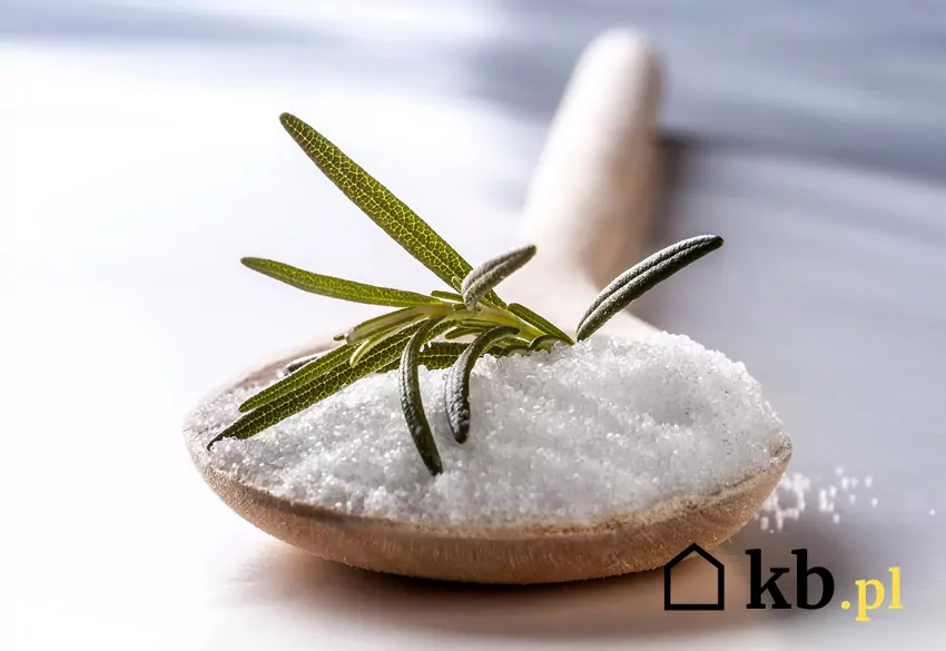 Gruboziarnista sól od lat uchodzi za jeden z najbardziej dostępnych i naturalnych pochłaniaczy wilgoci Łyżka soli i zioło