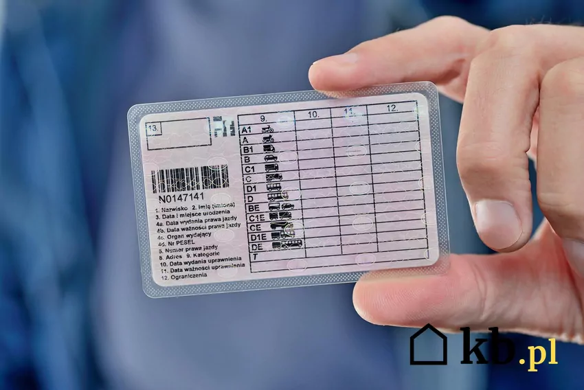 Mężczyzna trzyma prawo jazdy