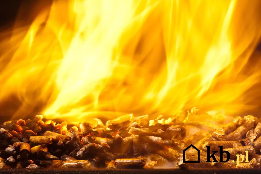 palący się pellet drzewny
