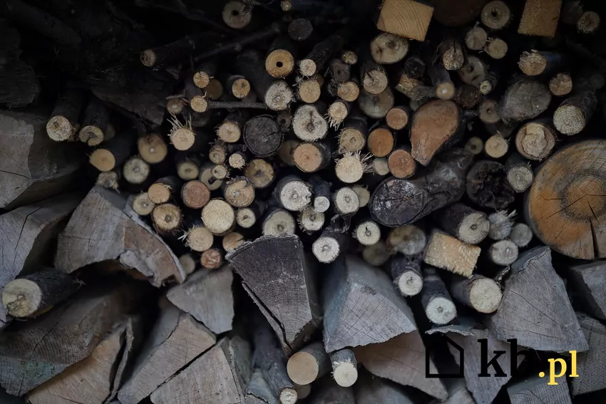 Różne rodzaje drewna wykazują różne właściwości