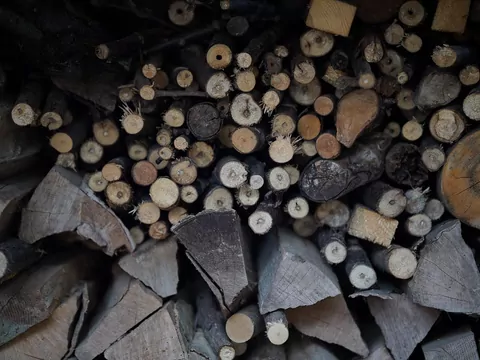 Ile drewna opałowego na zimę