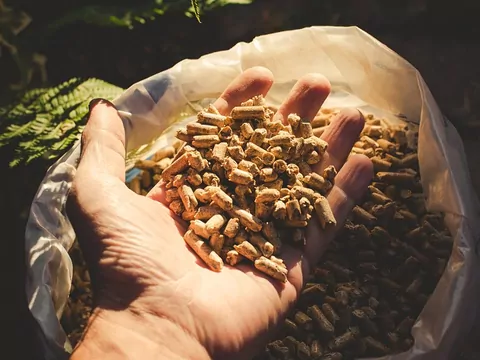 Jaki pellet wybrać do kotła?