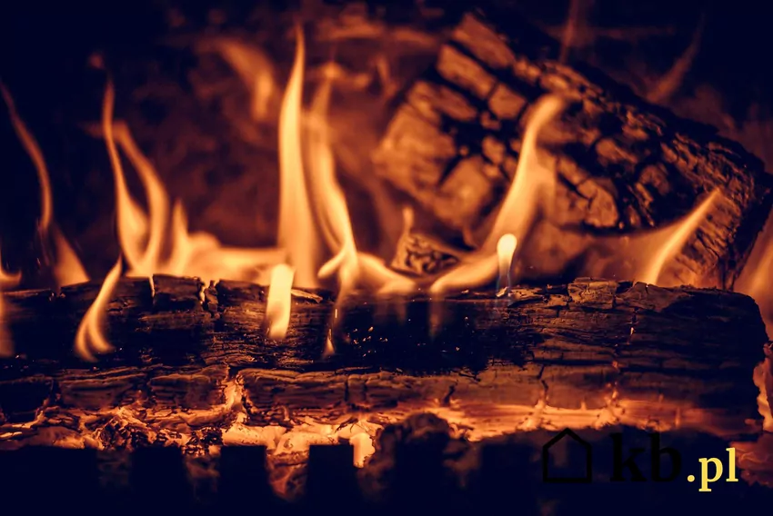 Niepodważalnie ogromnym atutem brzozy jest już sam jej płomień: jasny, żywy i równy ogień, który prezentuje się wyjątkowo atrakcyjnie wizualnie Płomienie i szczapy drewna