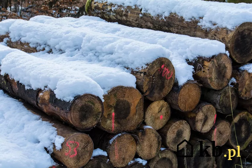 Źródłem każdego drewna jest las, a nie składy opałowe i markety Zakup drewna w lesnictwie jest korzystny cenowo, ale wymaga wiele nakładu pracy