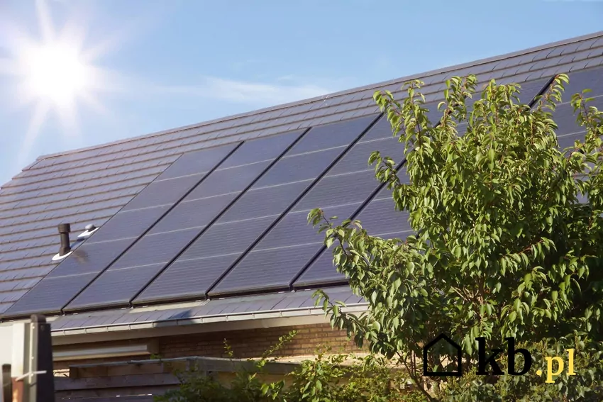 fotowoltaika na dachu, drzewo