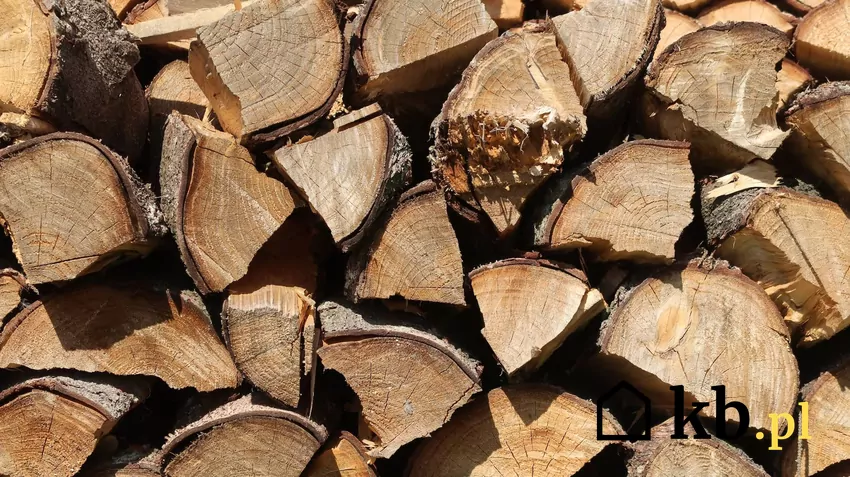 drewno kominkowe