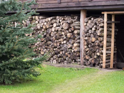 Drewno z marketu vs. z lokalnego składu