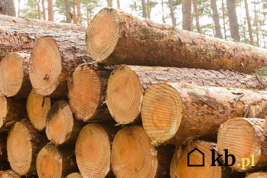 Drewno sosnowe ma niższą wartość opałową niż drewno twarde, ale łatwiej się rozpala Duża zawartość żywicy w drewnie sosnowym sprawia, że nadaje się doskonale do rozpalania w kominku lub piecu