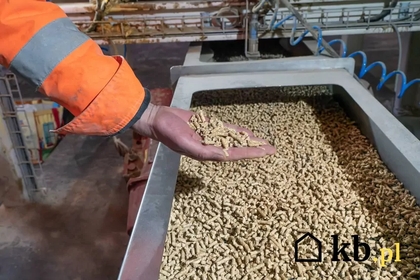 produkcja pelletu drzewnego