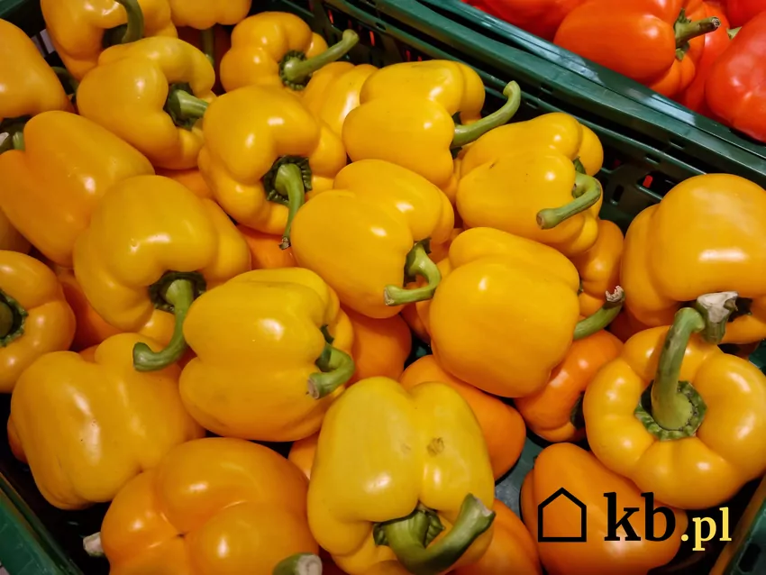 papryki na sprzedaż