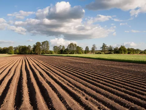 Najtańsze i najdroższe grunty w Polsce
