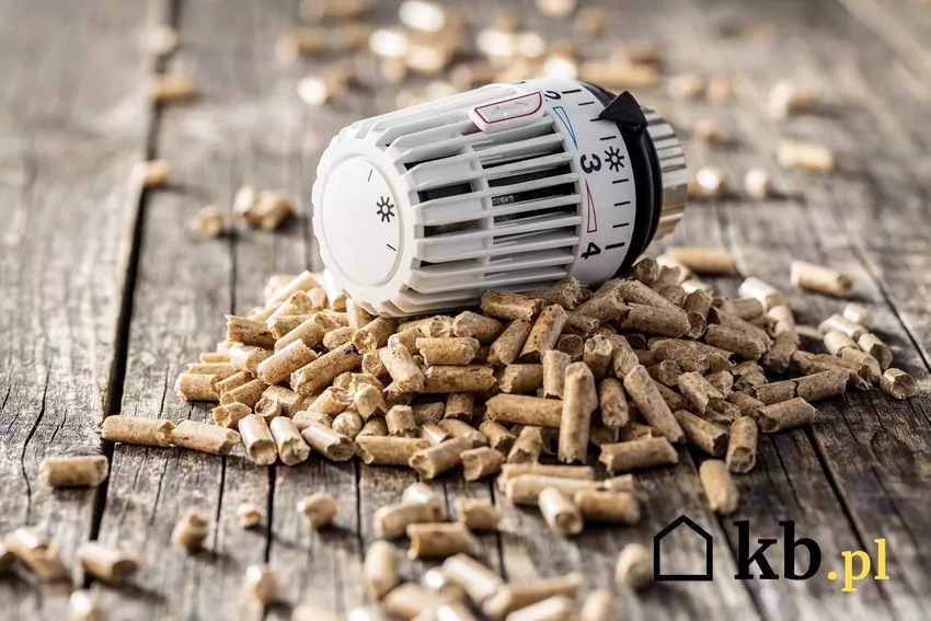 Rząd pracuje nad projektem ustawy dotyczącej pomocy poszkodowanym w programie Czyste Powietrze Pellet i termostat