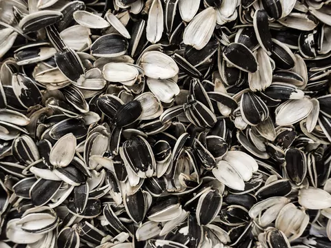 Łuski słonecznika zamiast pelletu