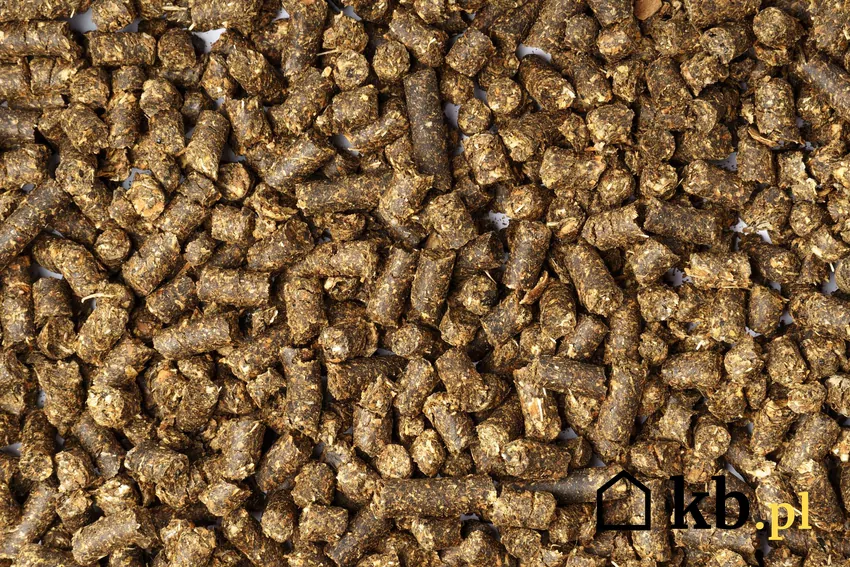 Pellet z łusek słonecznika