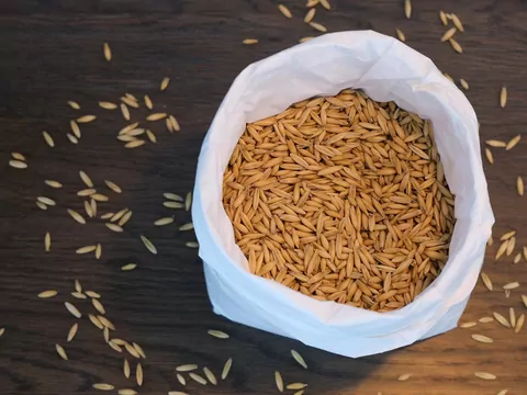 Owies do pieca na pellet