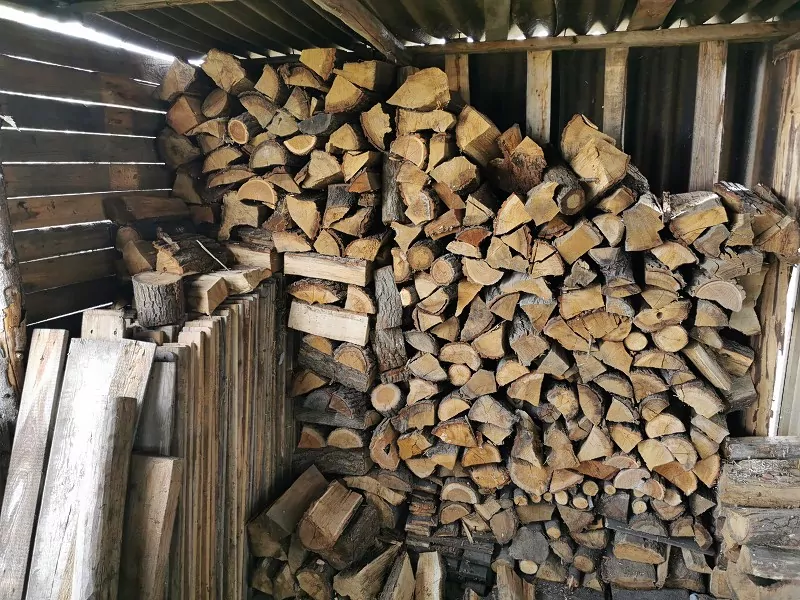 drewutnia od środka