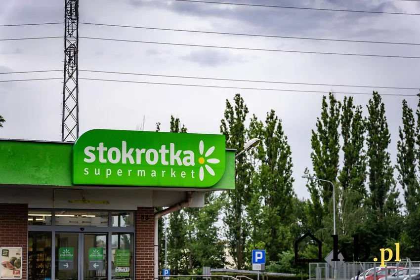 Stokrotka - logo