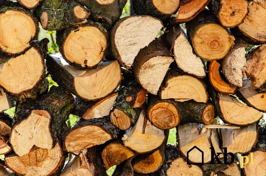 drewno opałowe na zimę