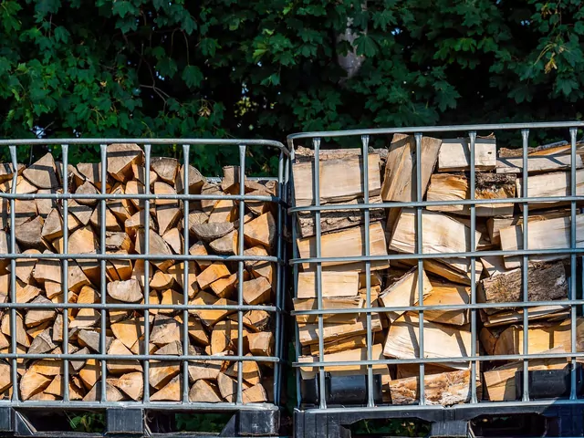 Ile kosztuje drewno kominkowe - styczeń 2026