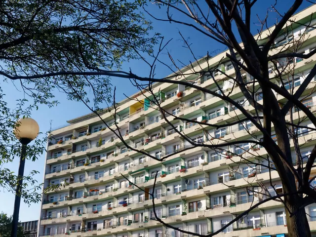 Żywotność wielkiej płyty - analiza AI