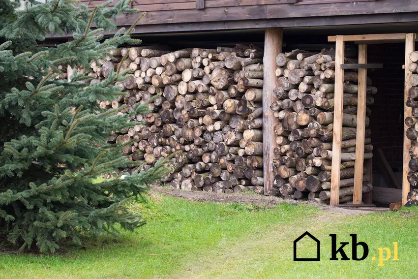 drewno do kominka