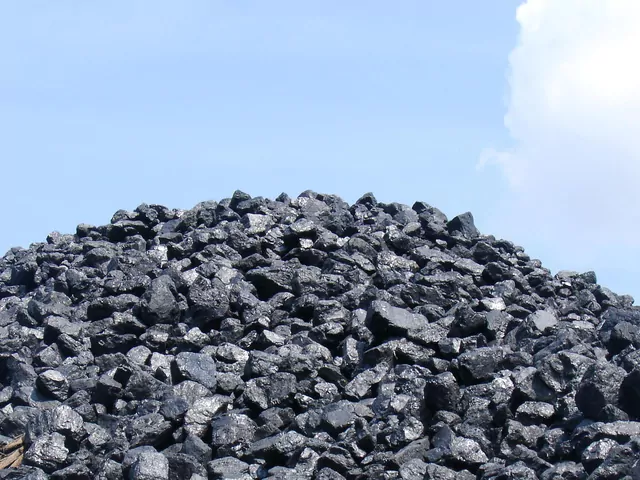 Ceny węgla w styczniu 2026