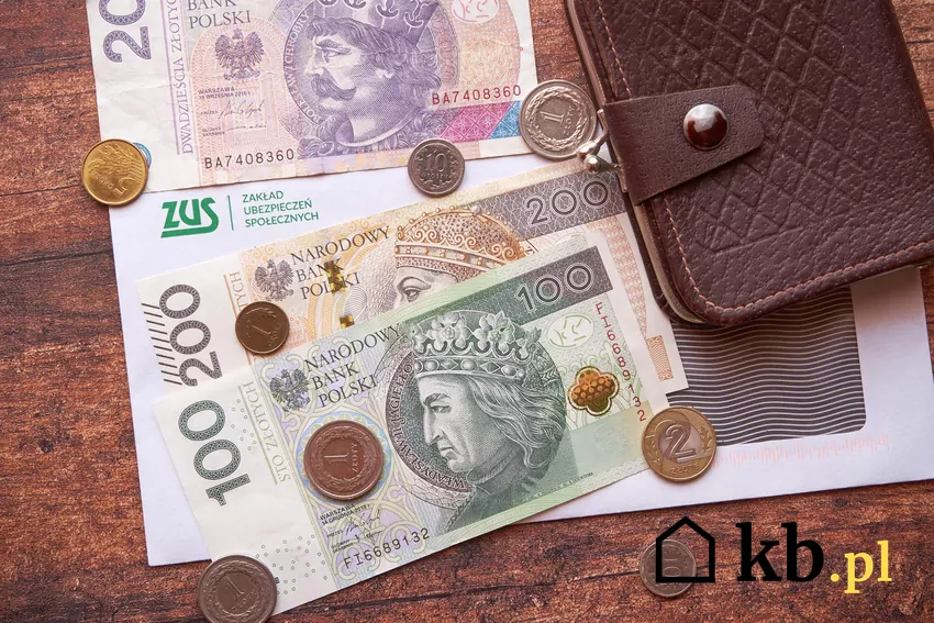 portfel z polskimi banknotami