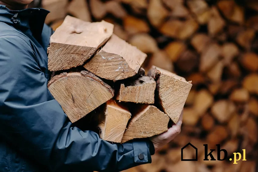 mężczyzna niesie kawałki drewna kominkowego