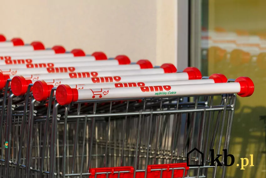 W Dino dużo promocji w dniach 21-27 stycznia Dino - sklep