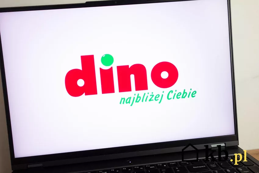 Dino - witryna internetowa