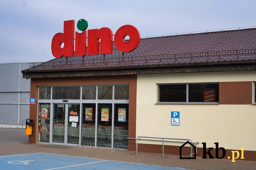 W Dino dużo promocji w dniach 21-27 stycznia Dino - sklep