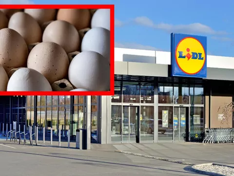 Dziennikarze wzięli pod lupę jajka z Lidla