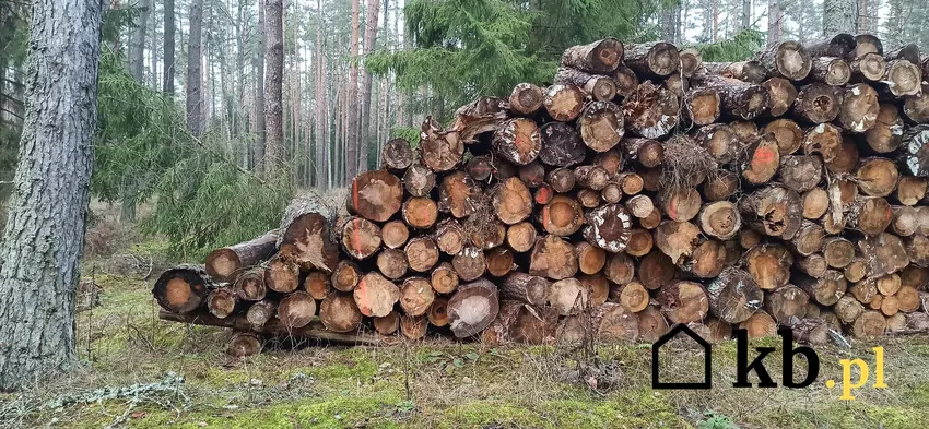 Drewno opałowe S4 wyrabia się z fragmentów pnia nienadających się do innego użycia Drewno S4 może mieć zgniliznę miękką do 50% czoła