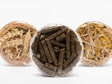 Słoma jako zamiennik pelletu