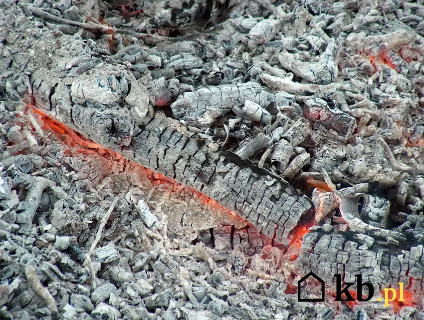 Popiół drzewny składa się głównie z utlenionych pierwiastków tworzących masę drzewną