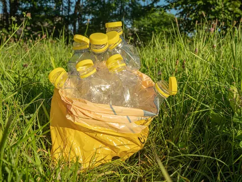 System kaucyjny pod lupą