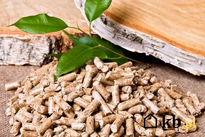 pellet i drewno brzozowe
