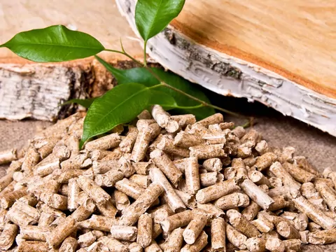 Pellet czy brzoza - porównanie