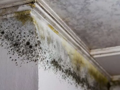 Wilgoć po ociepleniu budynku