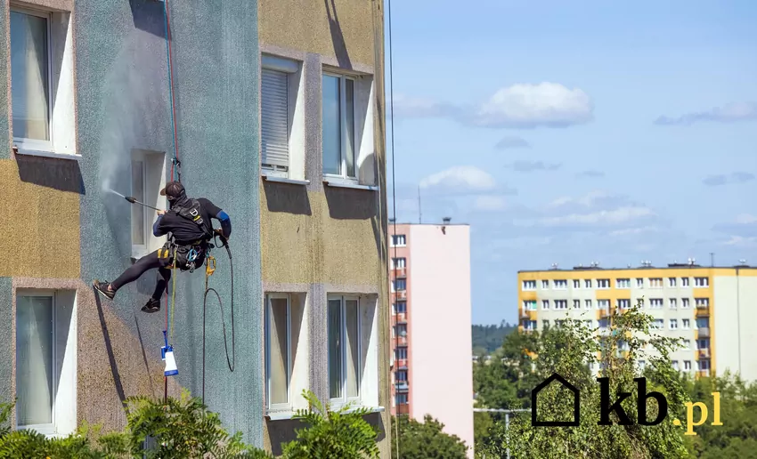 Skąd się biorą glony na elewacji i jak je usunąć? czyszczenie elewacji