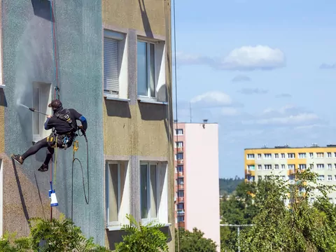 Zielony nalot na elewacji