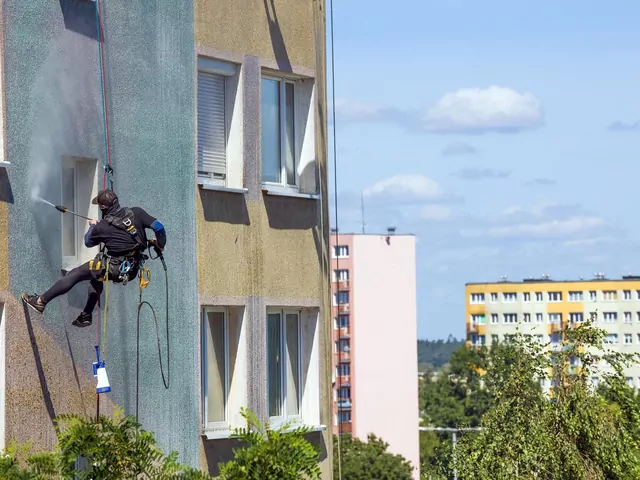 Zielony nalot na elewacji