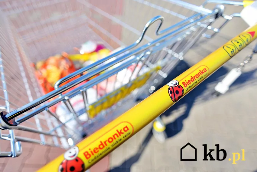 Koszyk z Biedronki