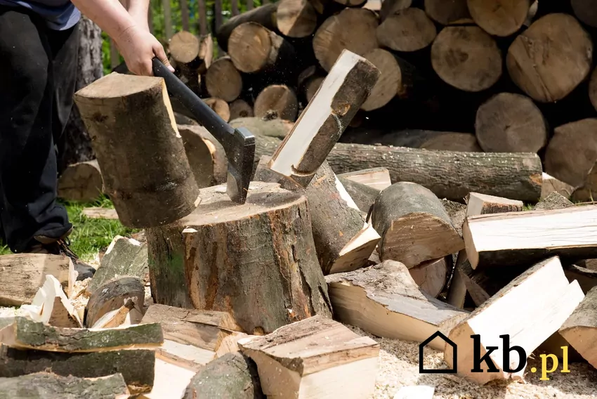 człowiek rabie drewno na opał