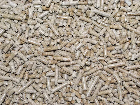 Żwirek dla kota zamiast pelletu