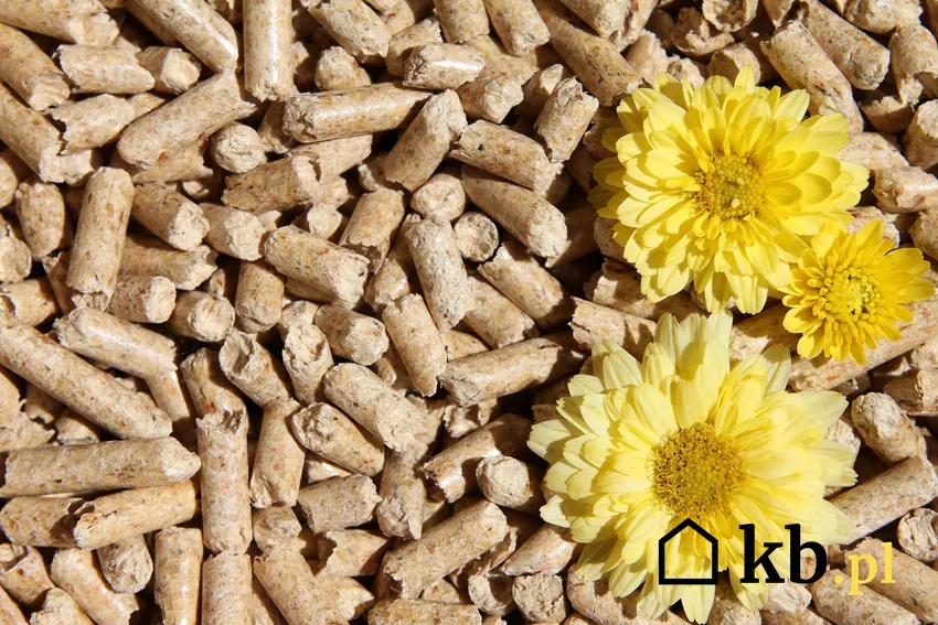 Dobrej jakości pellet pozostawia zaledwie 0,5% popiołu Czyste spalanie pelletu zapewnia efektywną pracę pieca i jego długą żywotność