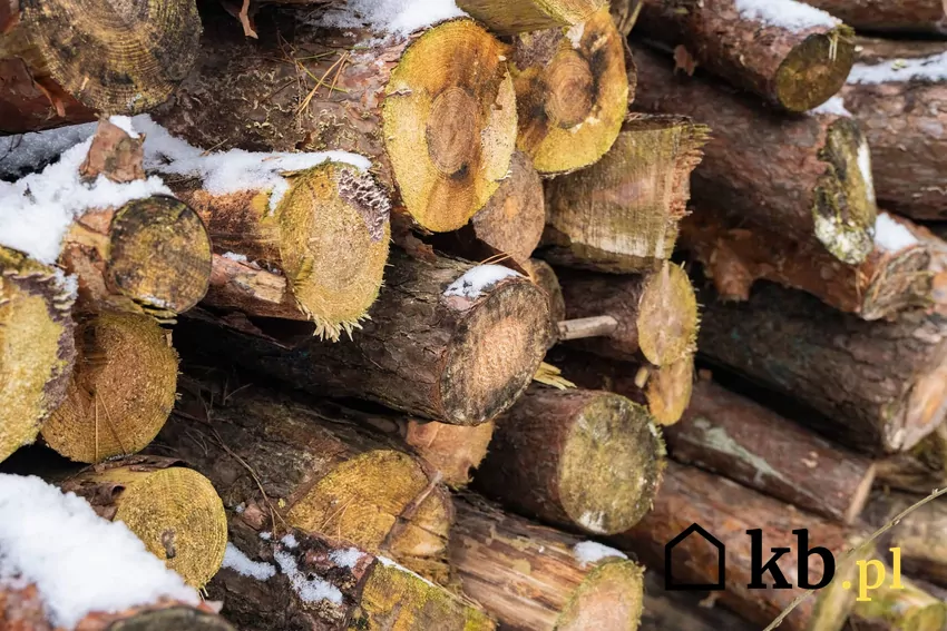 drewno na opał